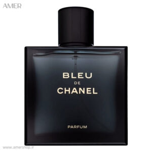 ادوتویلت مردانه شنل bleu de chanel حجم 100