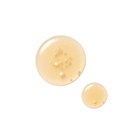 سرم استی لادر Advanced Night Repair