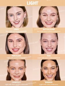 کرم پودر استیکی شیگلم Skin Magnet