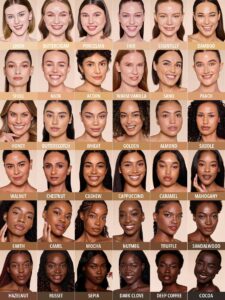 کرم پودر استیکی شیگلم Skin Magnet