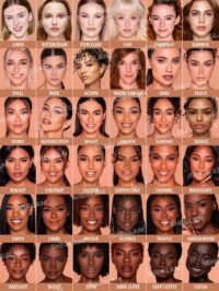 کرم پودر مات شیگلم Complexion Pro