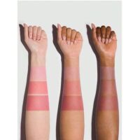 رژلب و رژگونه سه طبقه شیگلم strawberry