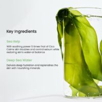 ماسک صورت بایودنس Refreshing Sea Kelp