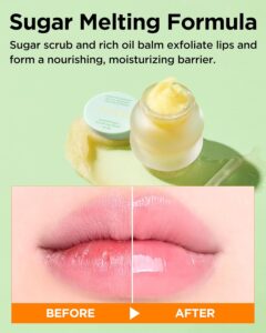 ماسک لب توکوبو Lemon Sugar Scrub