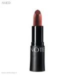 رژلب مات و آبرسان نوت HOT BROWN 315