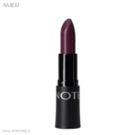 رژلب ریچ کالر نوت VIOLET BLACK 24