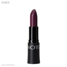 رژلب ریچ کالر نوت VIOLET BLACK 24
