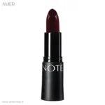 رژلب مات و آبرسان نوت BRAND 308