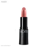 رژلب مات و آبرسان نوت LINGERIE NUDE 310