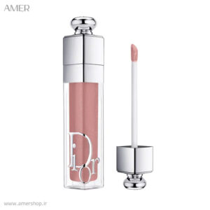 لیپ گلاس و حجم دهنده دیور رنگ ROSE NUDE038