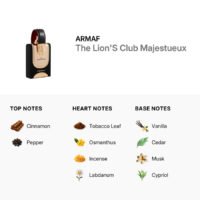 ادوپرفیوم مردانه آرماف Lions Club Majestueux حجم 100