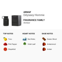 ادوپرفیوم مردانه آرماف Odyssey Homme