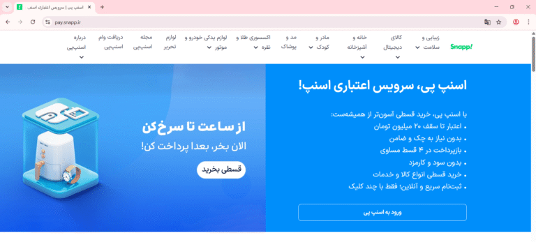 snapppay website 768x347 1