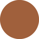 sheglam camel