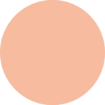 کانسیلر مایع آرتیستا MEDIUM W 2.5