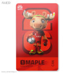 کارت هدیه جام جهانی FIFA CARD MAPLE