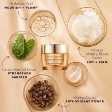 کرم ضد چروک استی لادر revitalizing supreme