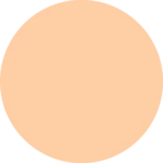 هایلایتر میکسر صورت شیگلم sunburst glow mixer رنگ fair neutral