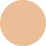 کرم پودر استیکی شیگلم skin magent رنگ Porcelain