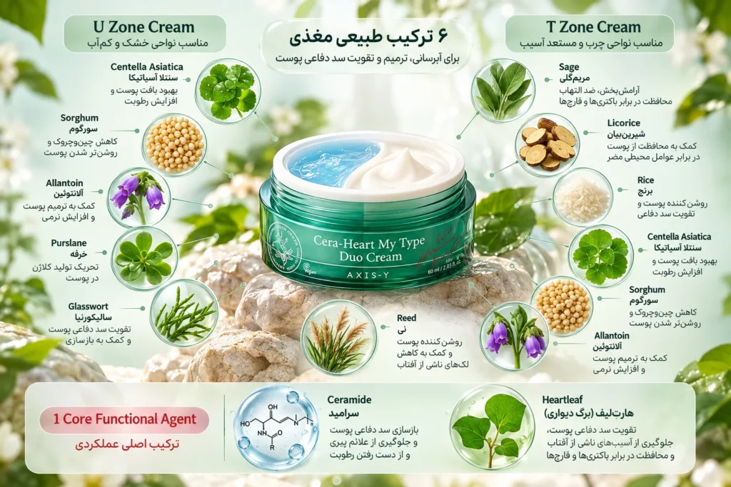 کرم مرطوب‌کننده دوگانه اکسیس وای Cera-Heart My Type Duo Cream حجم 60 میلی‌لیتر